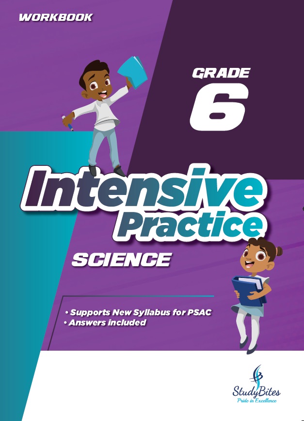 Intensive Practice - Science - Grade 6 (StudyBites)